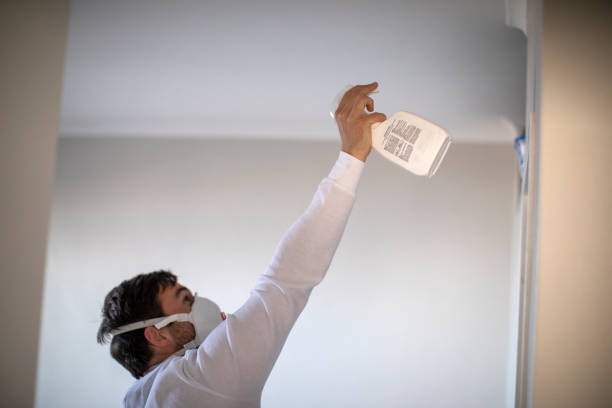 Best Same-Day Mold Removal  in Aldine, TX