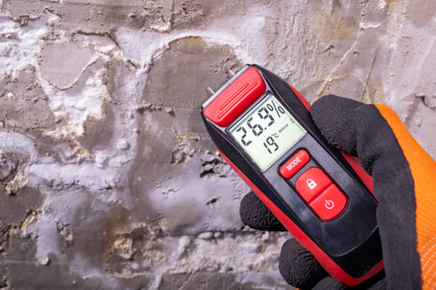 Best Toxic Mold Removal  in Aldine, TX