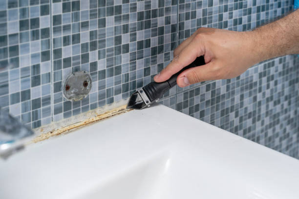 Best Residential Mold Removal  in Aldine, TX